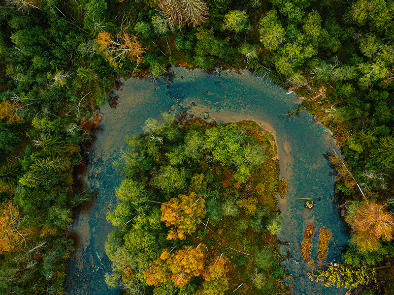 Business und Biodiversität: Warum beides zusammengehört