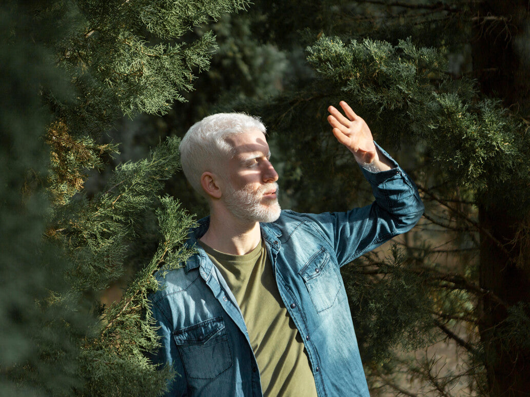 Der Wald als Ruhe-Oase: Warum Stille so heilsam wirkt
