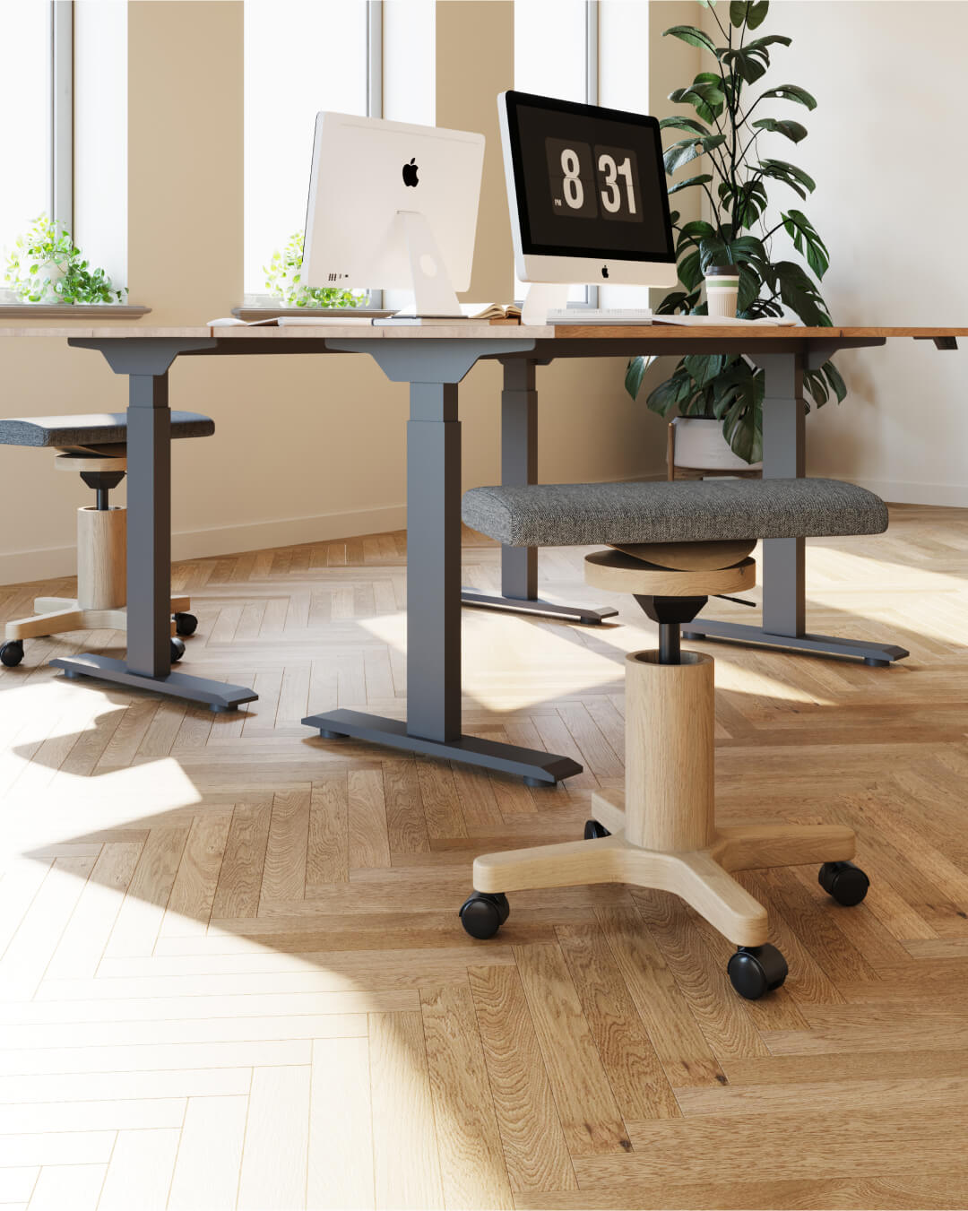 ORGANIQ WOOD Hocker "EQUORA"