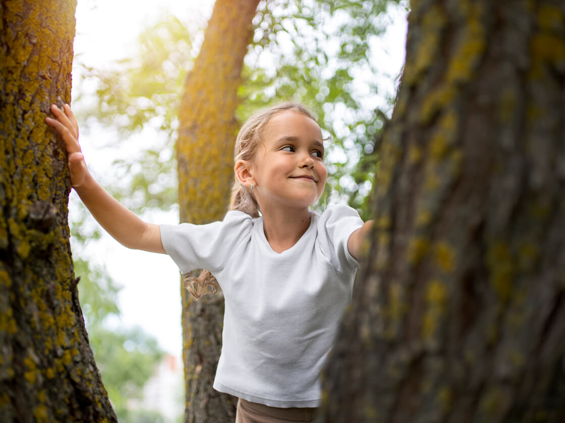 Der Schutz unserer Wälder: Warum Naturschutz keine Mode ist